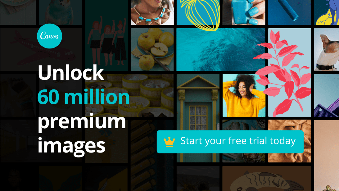 Canva Pro Subscriptions