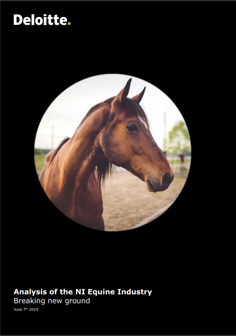 Deloitte Analysis of the Northern Ireland Equine Industry