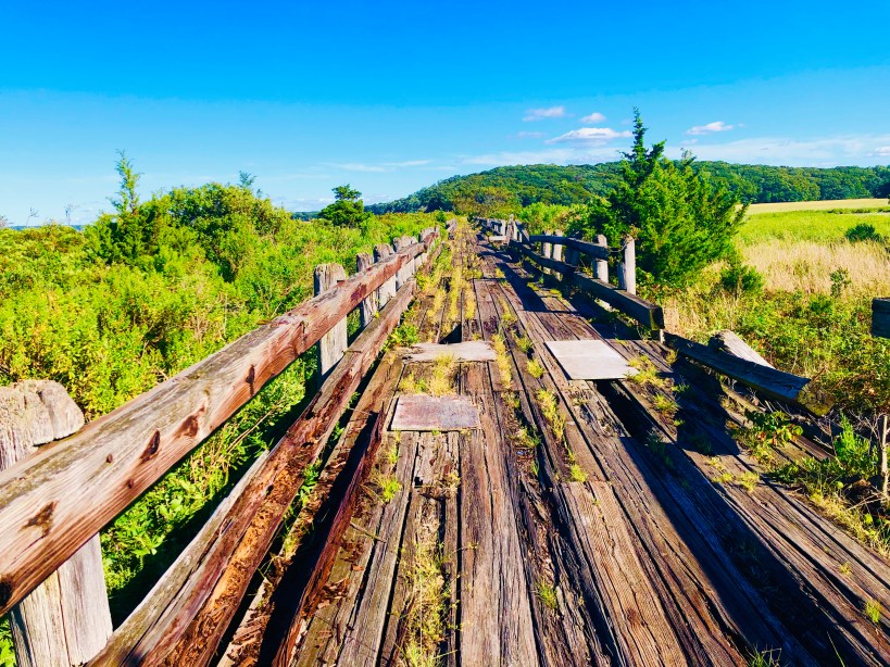 caumsett beach path