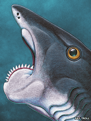 Crazy-ass saw blade mouth fish