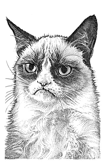 Grumpy Cat's Stipple Portrait