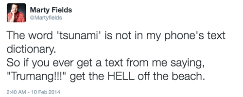 The word 'tsunami' is not in my phone's text dictionary.
So if you ever get a text from me saying, Trumang!!! get the HELL off the beach.