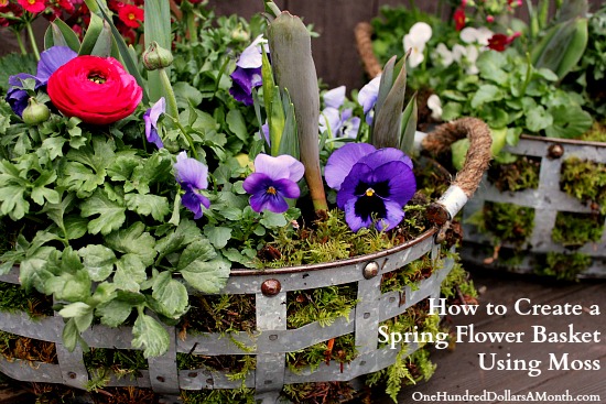 How to Create a Spring Flower Basket Using Moss