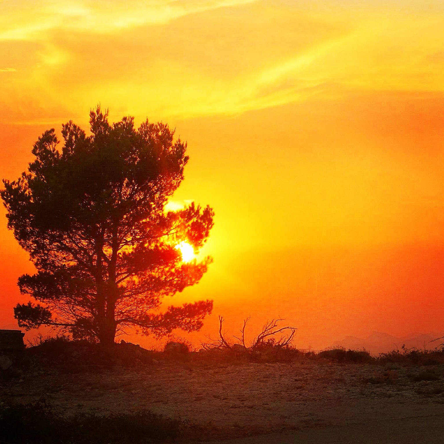 Split, Croatia, 2011