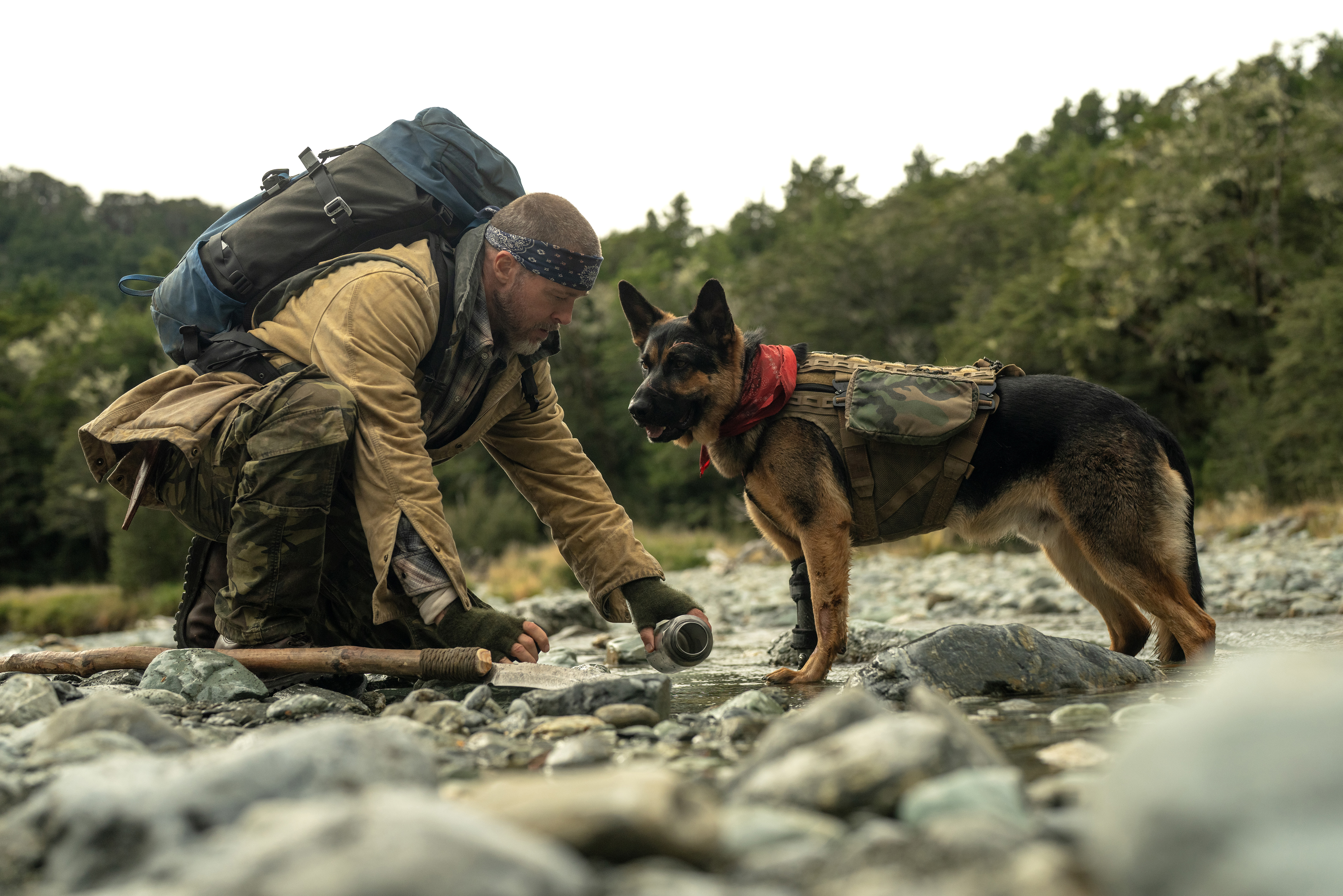 Movie Review: Heart of the Beast