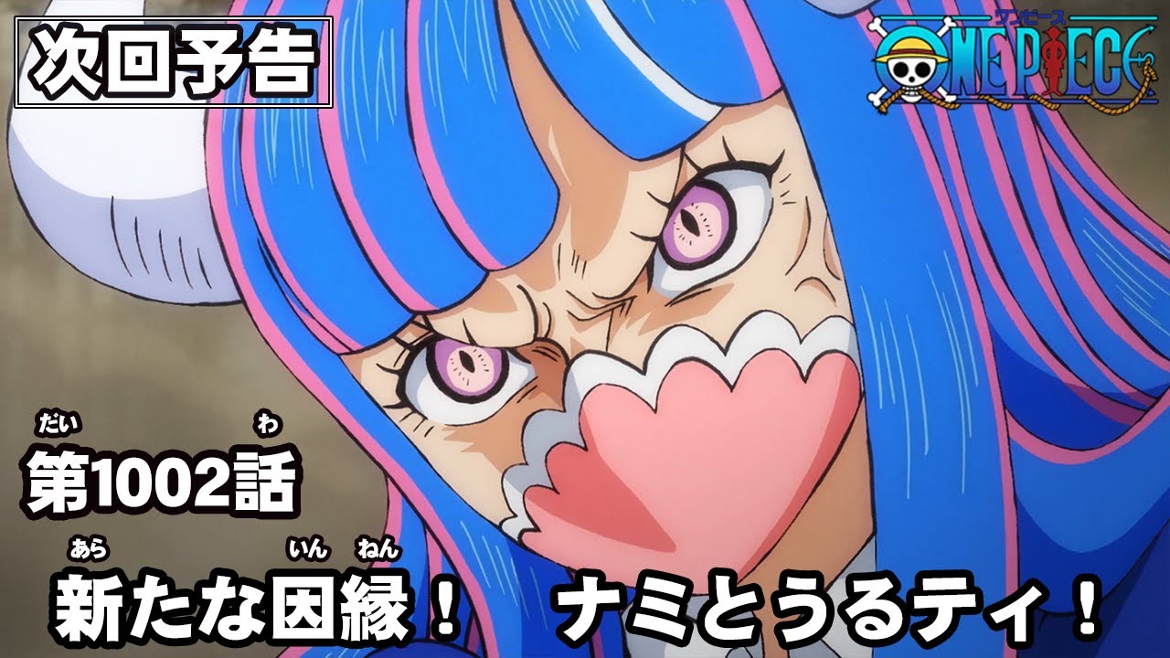One Piece 第1002話予告 新たな因縁 ナミとうるティ One Piece速報