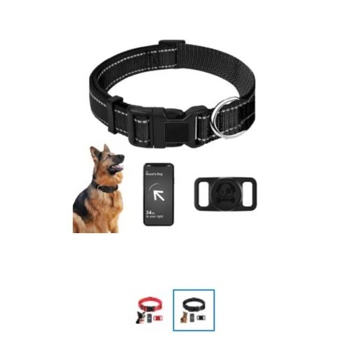 Reflective Dog Collar with AirTag Holder — S/M