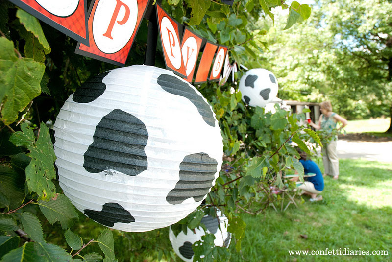 Barnyard Birthday Party Ideas