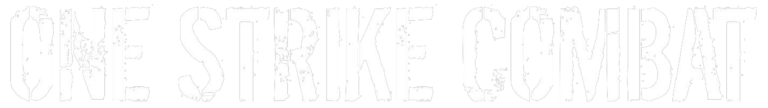 one strike combat