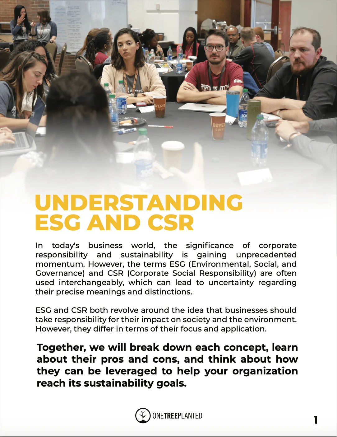Esg Vs Csr What Is The Difference One Tree Planted