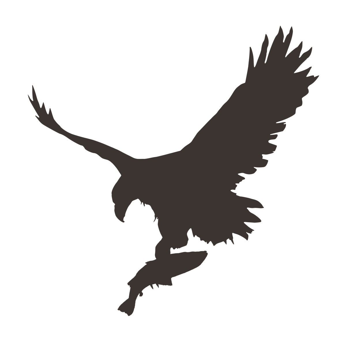 eagle fish