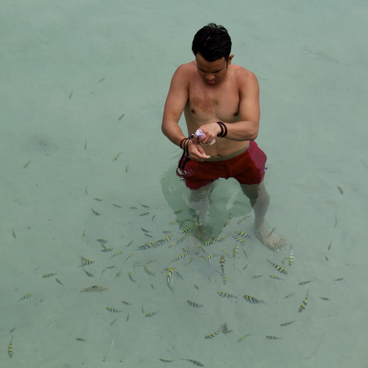 The visibility continues to be crystal clear even at deeper depths.