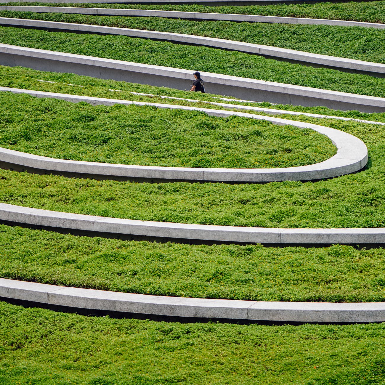 Photo by mentatdgt on Pexels.com