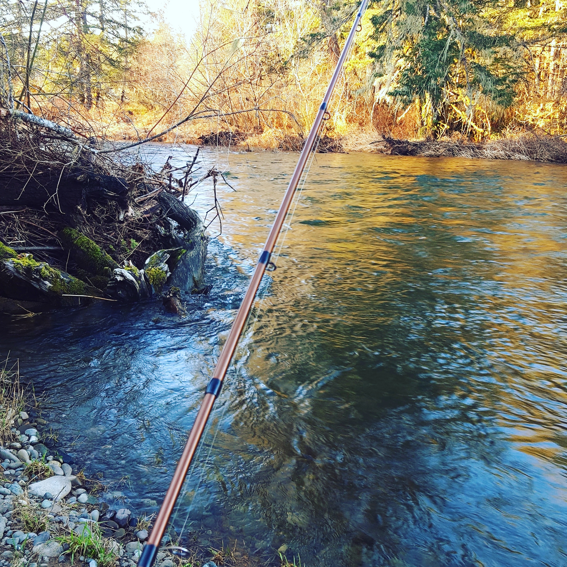 It's Good to Get Out