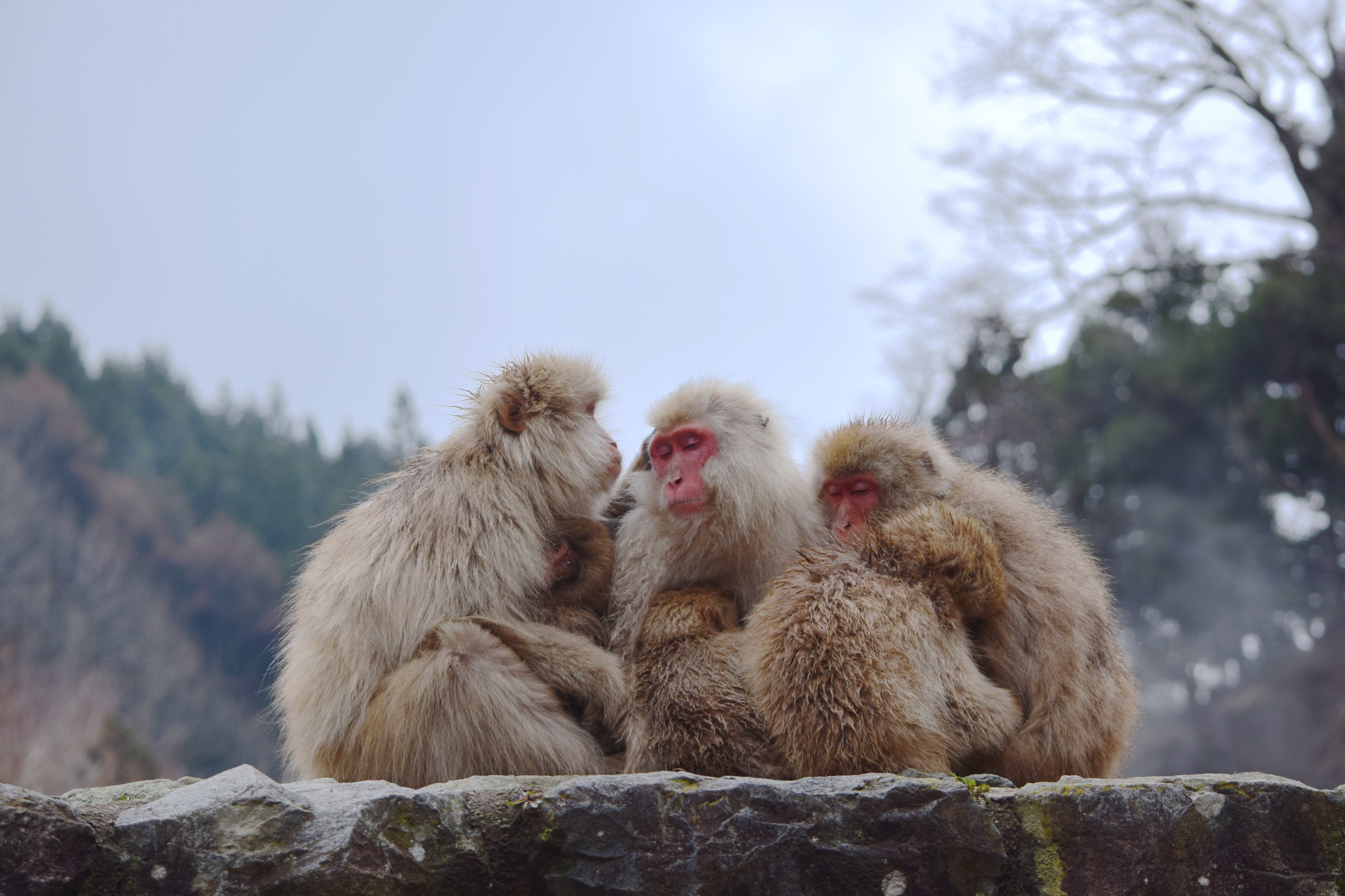 lil-c-2.jpg?fit=1200,800&ssl=1