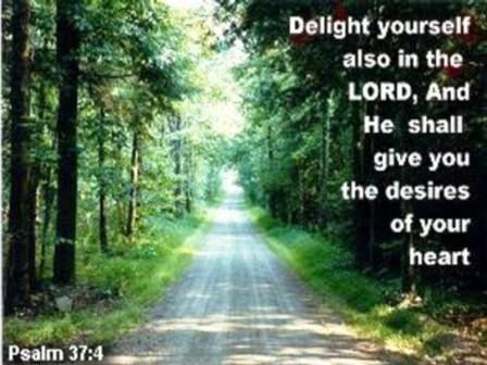 Delight Delight