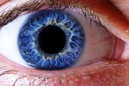 eyes2 eyes2