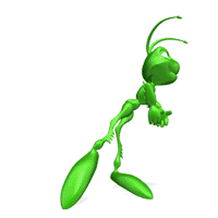 Grasshopper