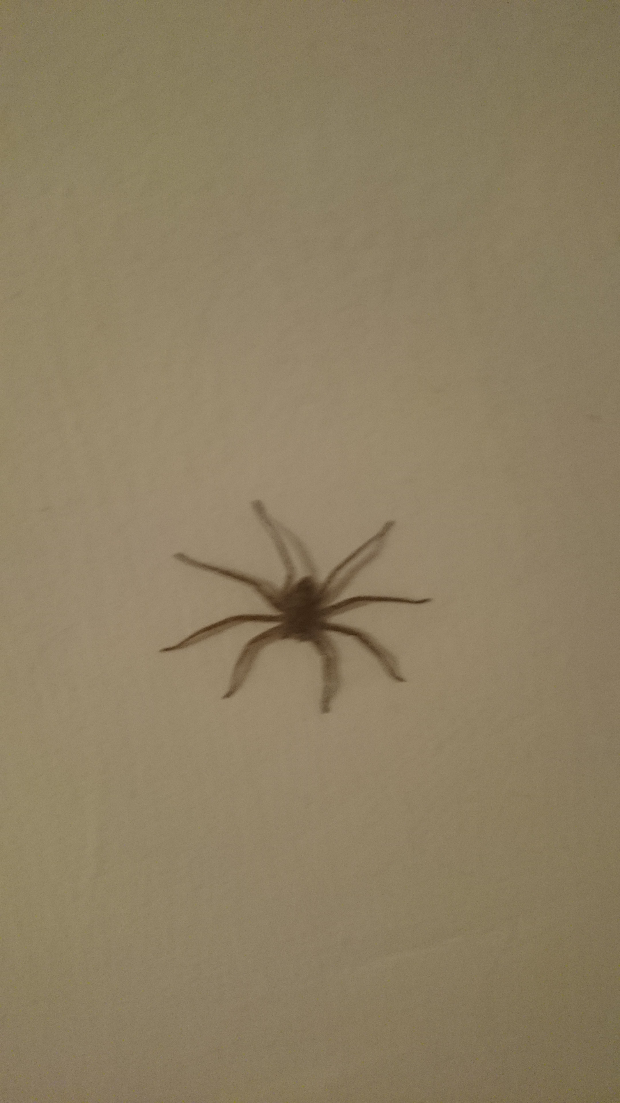 IMG-20151007-WA0011