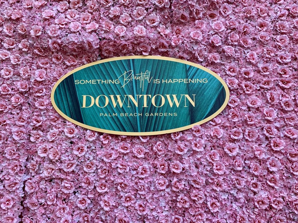 Out of retirement and into the frying pan — developer Dan Catalfumo is