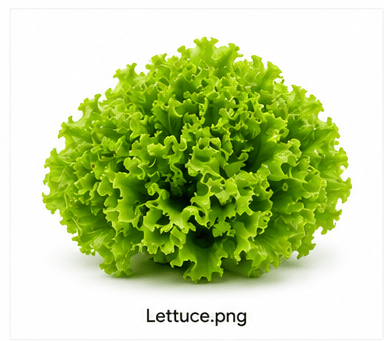 Lettuce from Onionbell