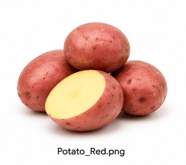 Potato Red from Onionbell