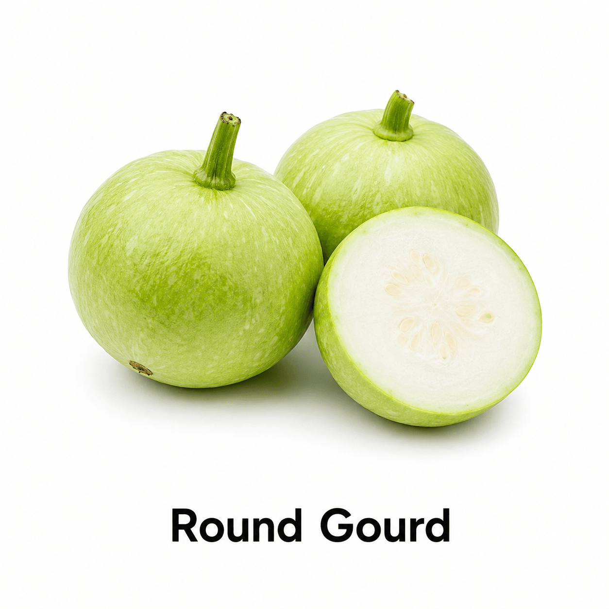 Round Gourd from Onionbell