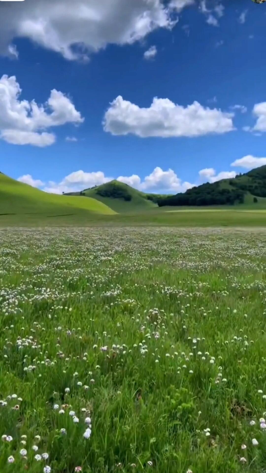 呼伦贝尔线（东蒙） ·  VIP 2-8人小包团