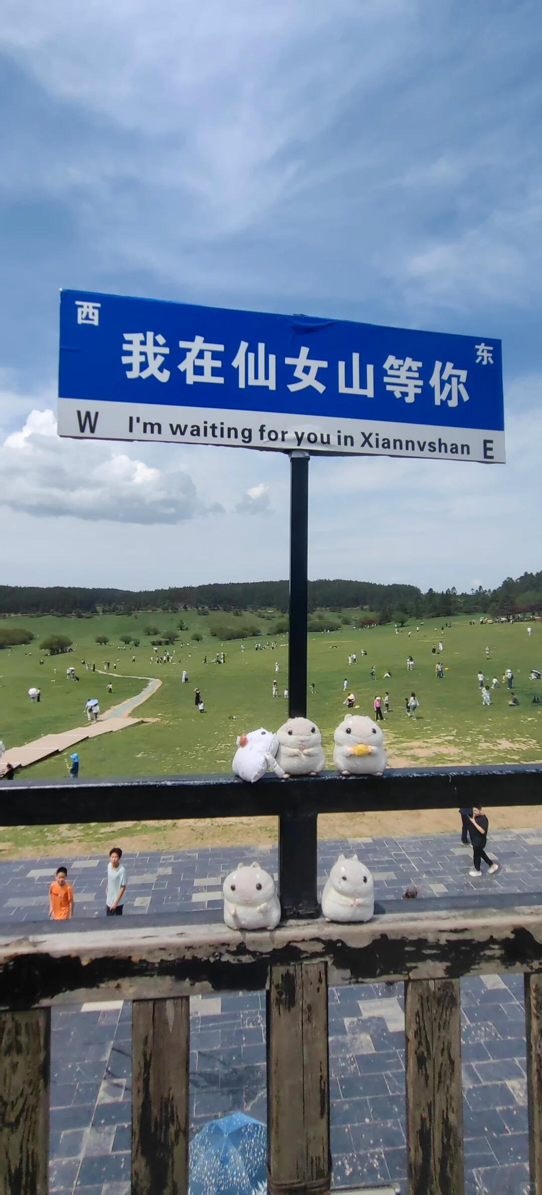 仙女山天坑·武隆天生三桥VIP纯玩一日游 | 国家5A级景区·满城尽带黄金甲外景地