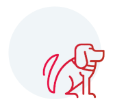 stray dogs