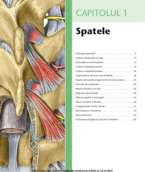 Pdf Atlas De Anatomie Grant Online Flipbook By Editura All Ro Fliphtml5
