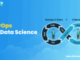 Devops For Data Science Importance And Usage Oracle Trainings For