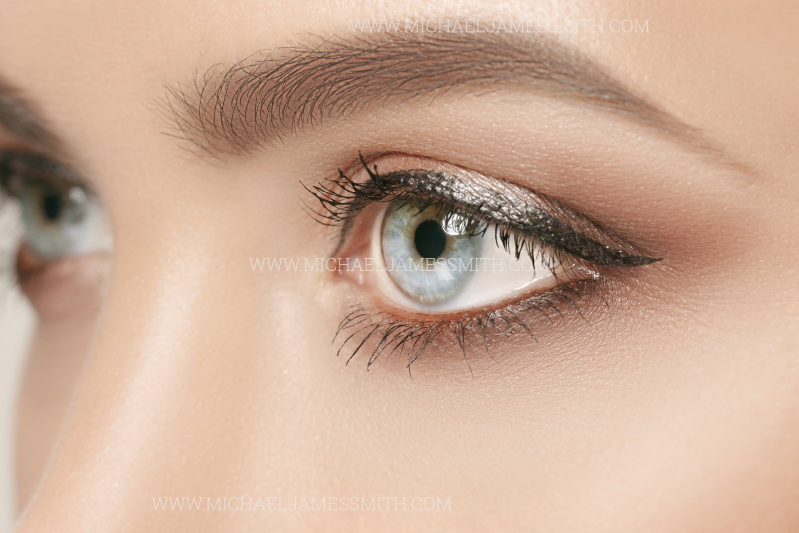 pics Eye Reference Photo michael james smith art school