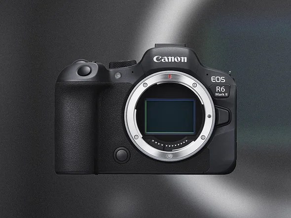 Canon R6 II against a blurred gray white and green background