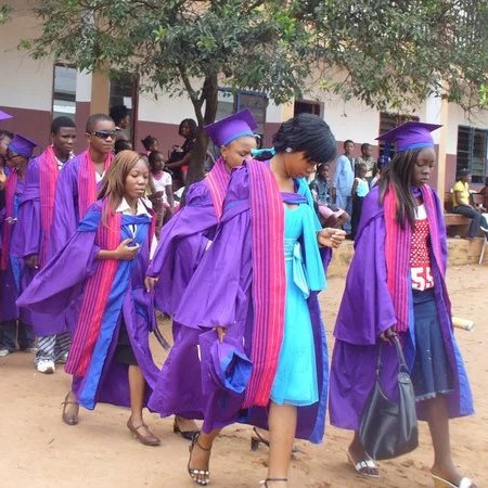 DESOPADEC Bursary 2023/2024 Scholarship Form