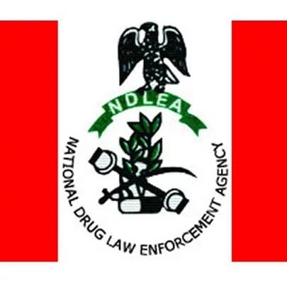 Ndlea Recruitment 2024