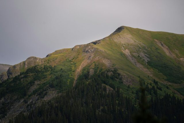Kostenloses Stock Foto zu abenteuer, alpin, baum
