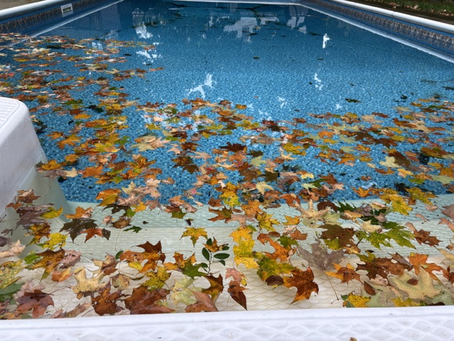 A Farewell to Summer
