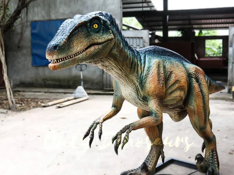 Intelli Raptor Animatronic Velociraptor For Sale | Only Dinosaurs