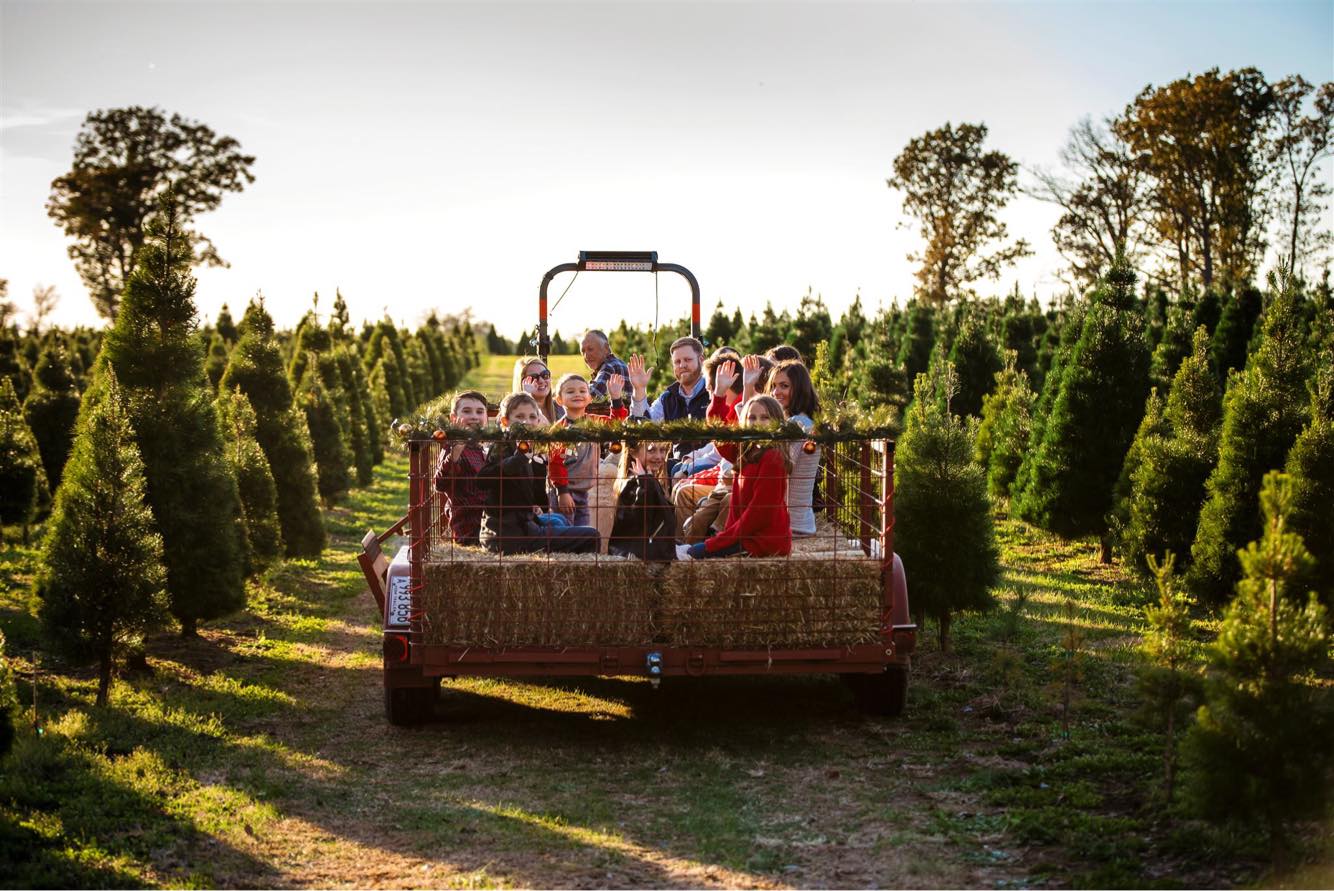 It probably feels like you just decorated your tree and now it's already time. Arkansas Christmas Tree Farms 2020 Only In Arkansas