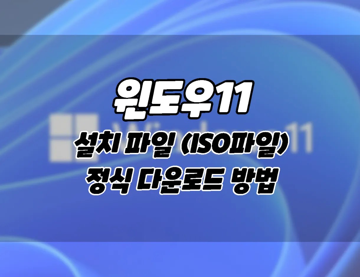 합법적으로 윈도우11 설치파일 (ISO이미지)을 다운로드 하는 2가지 방법 - ONNA