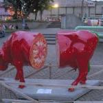 Unknown-5