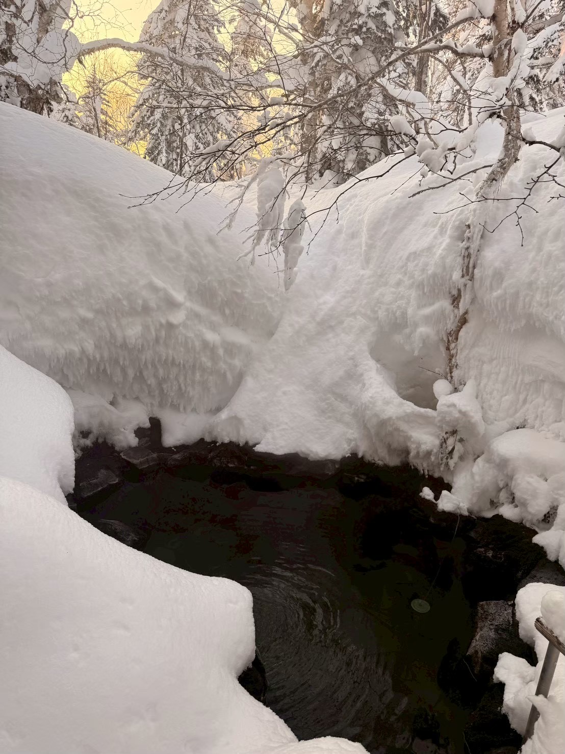 旭岳温泉　大雪山白樺荘（再訪）