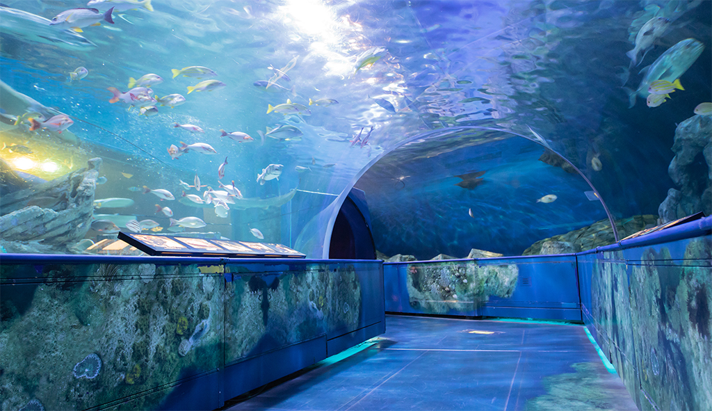 品川 水族館 広 さ