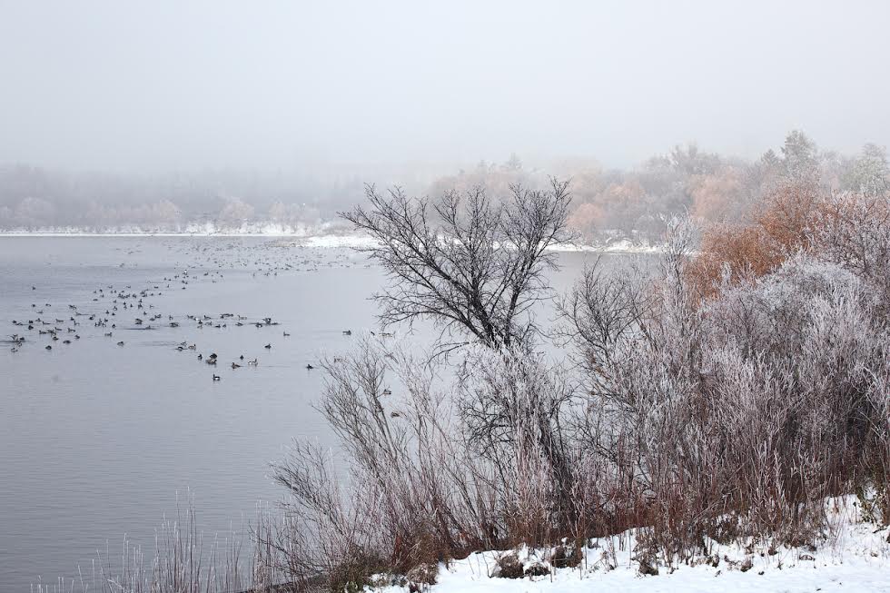 winter SK