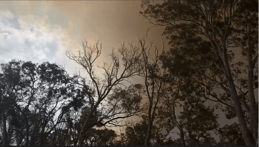 Country town camaraderie offers relief to bushfire affected communities