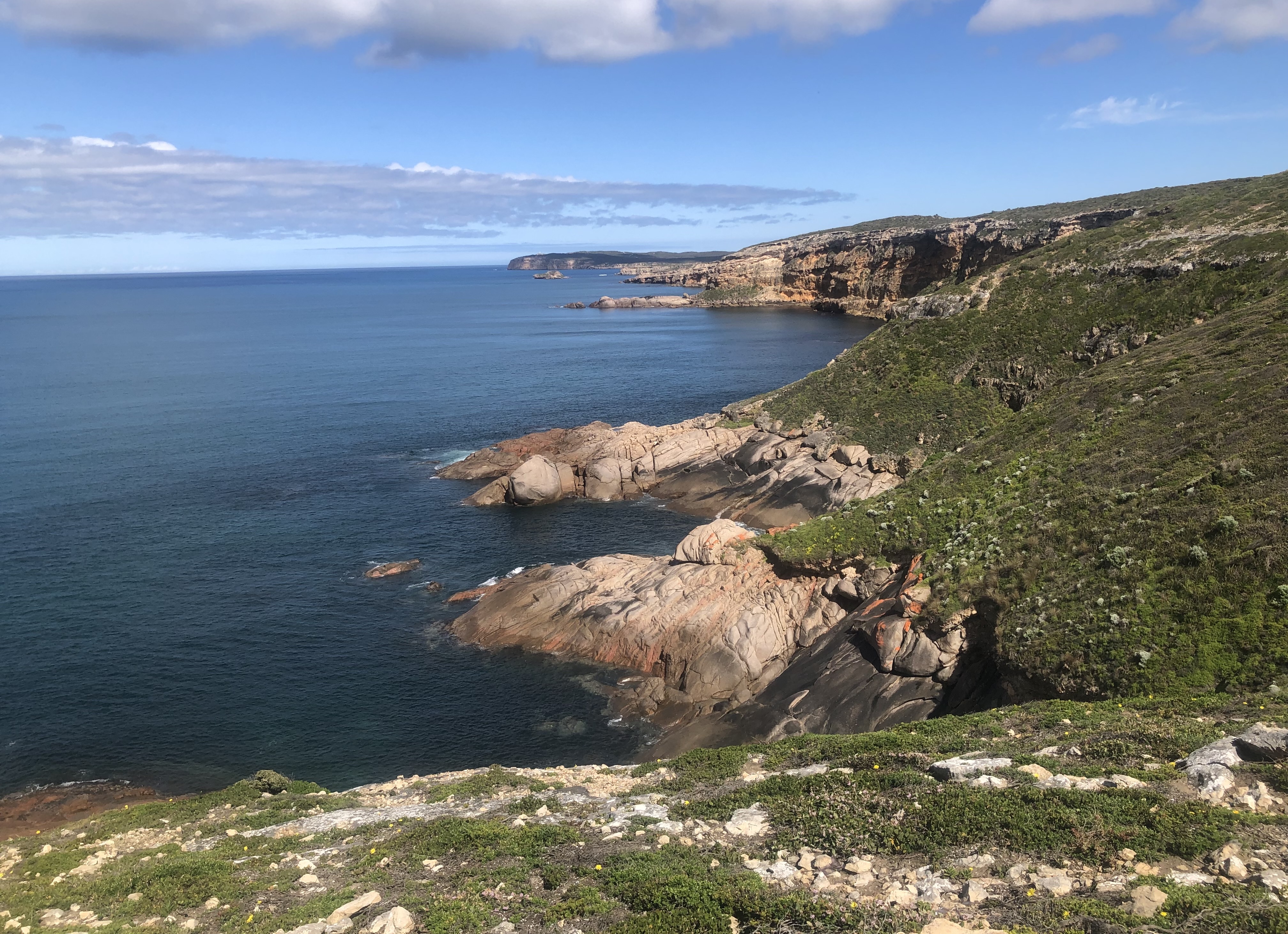 Dhilba Guuranda Innes National Park: how the Marna Bangarra project is bringing the Yorke Peninsula back to life