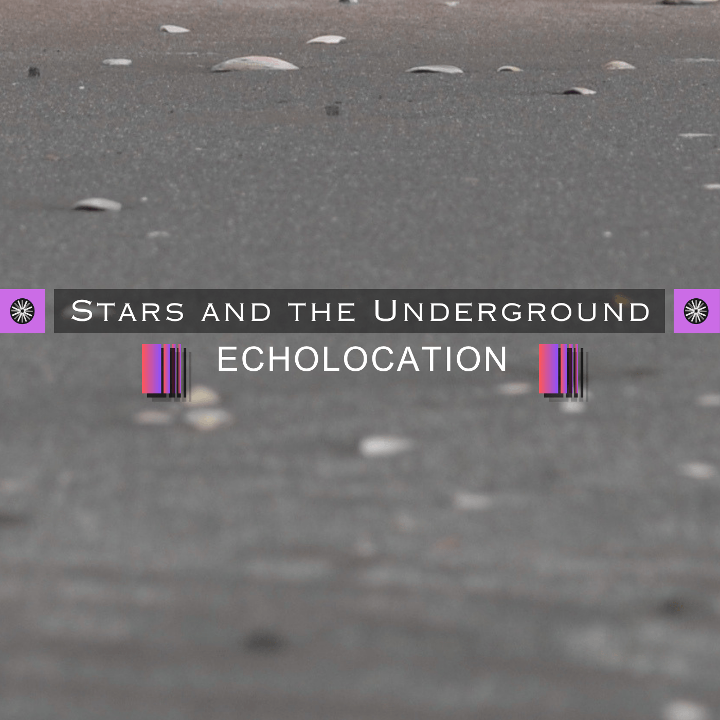 Stars and the Underground feat. Hannah Berry – “Echolocation”
