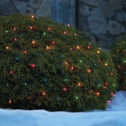 multi string lights christmas outdoor lighting hedges duty heavy shrubs decorate bush decorations strands indoor instantly cart