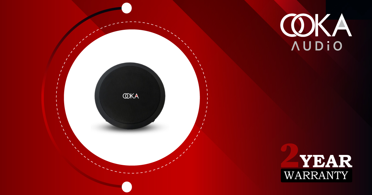 Best Ceiling Speaker in Delhi